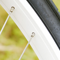 rim2