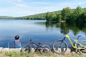 Fits 5 to 8YRS, 20inch Wheel Bikes Gravity Nugget Save Up to 60% Bikesdirect is Top Rated with Best Deals on Kids Bikes 